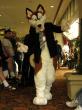People/Fursuits/Russ18.jpg