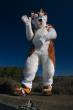 People/Fursuits/Russ21.jpg
