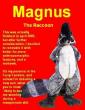 Raccoon-Spec-Sheet.jpg