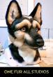 Woofer-head4a.jpg