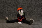 People/Fursuits/Tourney-2008/blazger.jpg