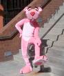 People/Fursuits/Tourney-2008/pink.jpg