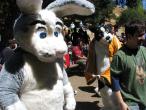 People/Fursuits/Zenith_Fenway_FC08Picnic.jpg