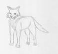 quamer-wolf(medium).jpg
