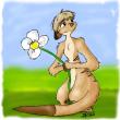 meercat_with_flower.jpg