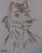 Wolf by yakeoWolf.jpg