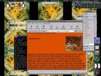 19990415-LinuxScreen.jpg