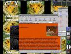 19990415-LinuxScreen.jpg.800x600.jpg