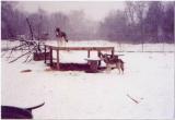 Aru___Seminole_enjoying_the_snow-382x261.jpg