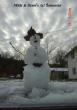 Nikki_Davids_Snowman_001-202x285.jpg