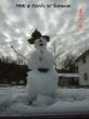 Nikki_Davids_Snowman_001-288x385.jpg