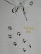 Pawprints_wolf_creek-274x361.jpg