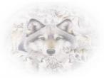 wolf2-760x570.jpg