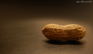 Peanut.bmp