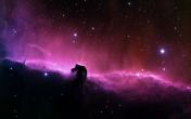 01875_horseheadnebula_2560x1600.jpg